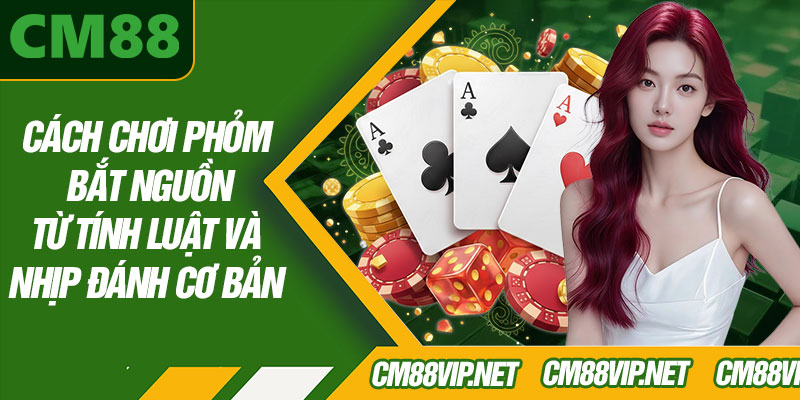Cách Chơi Phỏm Bắt Nguồn Từ Tính Luật Và Nhịp Đánh Cơ Bản