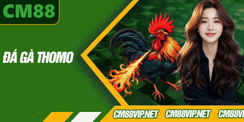 Đá Gà Thomo